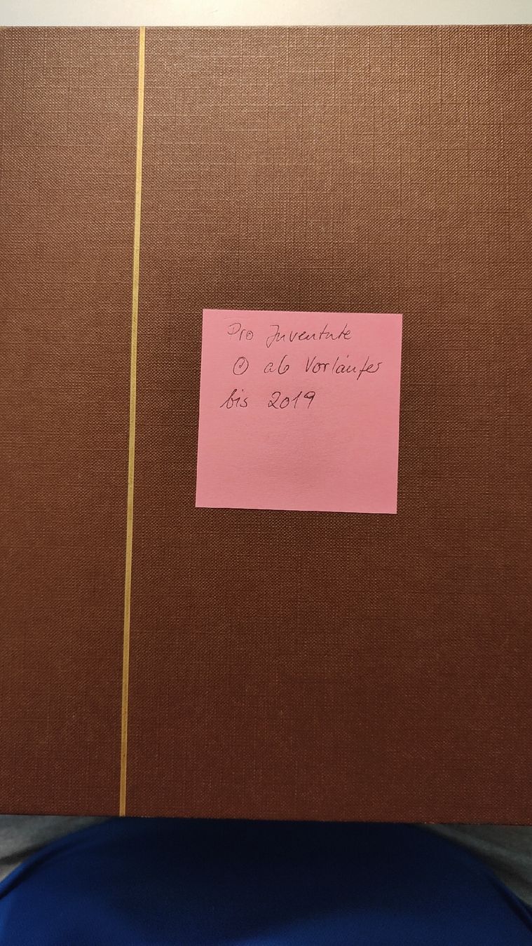 Tutti i francobolli: Super Sammlung Pro Juventute  – Usato da Riniken venduto da ChriguG75