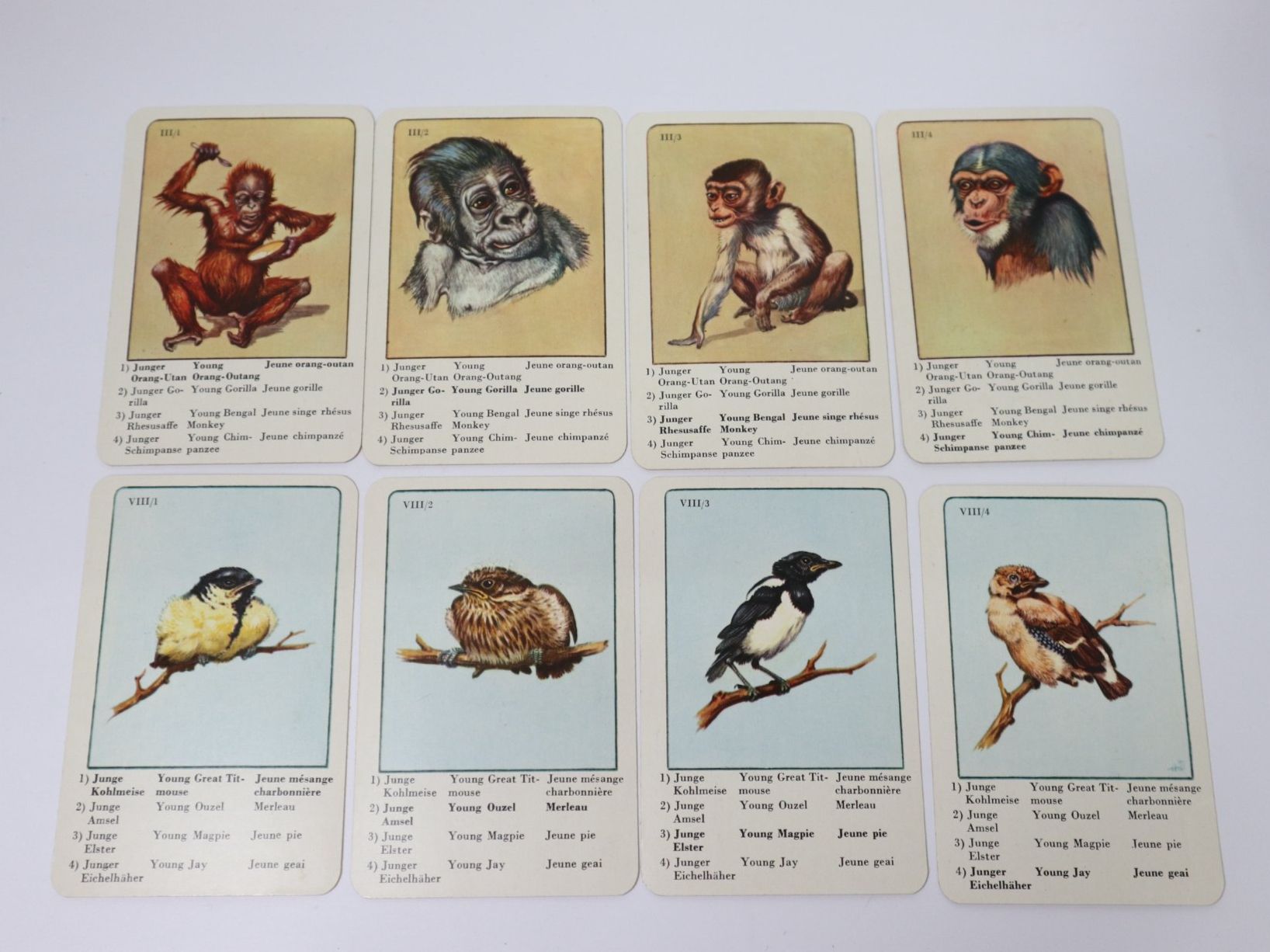 Spiele: Vintage Quartett Tierkinder – Gebraucht aus Eschenbach SG von Astalavista 3
