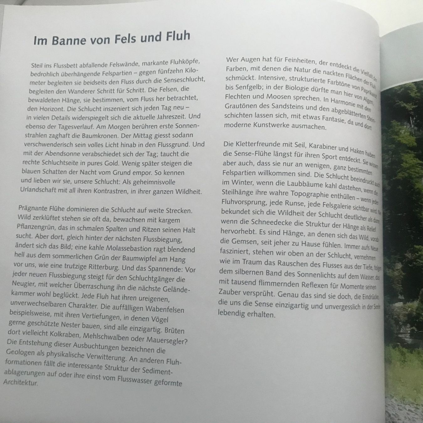 Libri: Sense, Peter Imhof, Weberverlag.ch – Nuovo (secondo la descrizione) da Ennetbühl venduto da Anna.K. 1