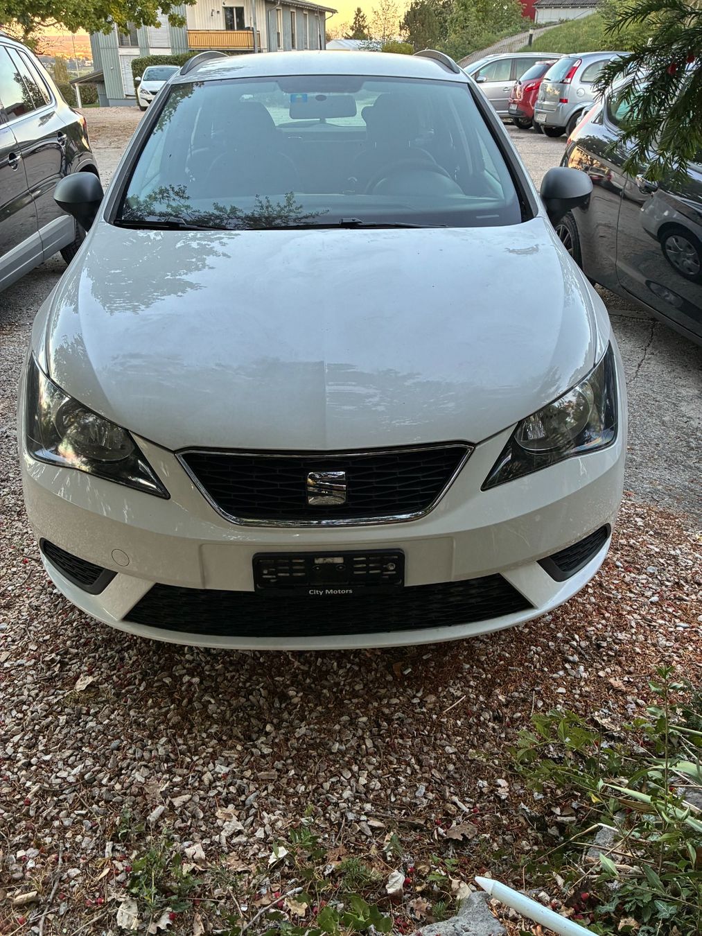 Seat Autos: Seat Ibiza Kombi – Gebraucht aus Zürich von barbu