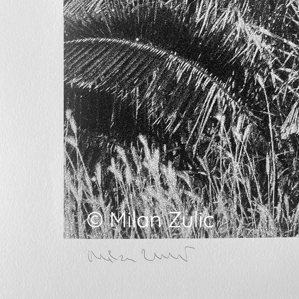 Foto & Immagini: Travel postcards 001 – Nuovo (secondo la descrizione) da Uetikon am See venduto da mil_7k2b 7