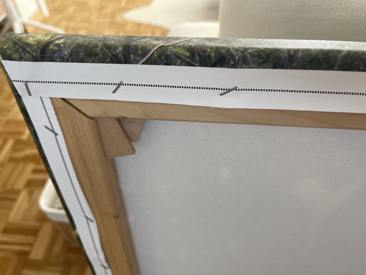 Poster & Bilder: Bild  – Gebraucht aus Zollikon von tap_xv26 3