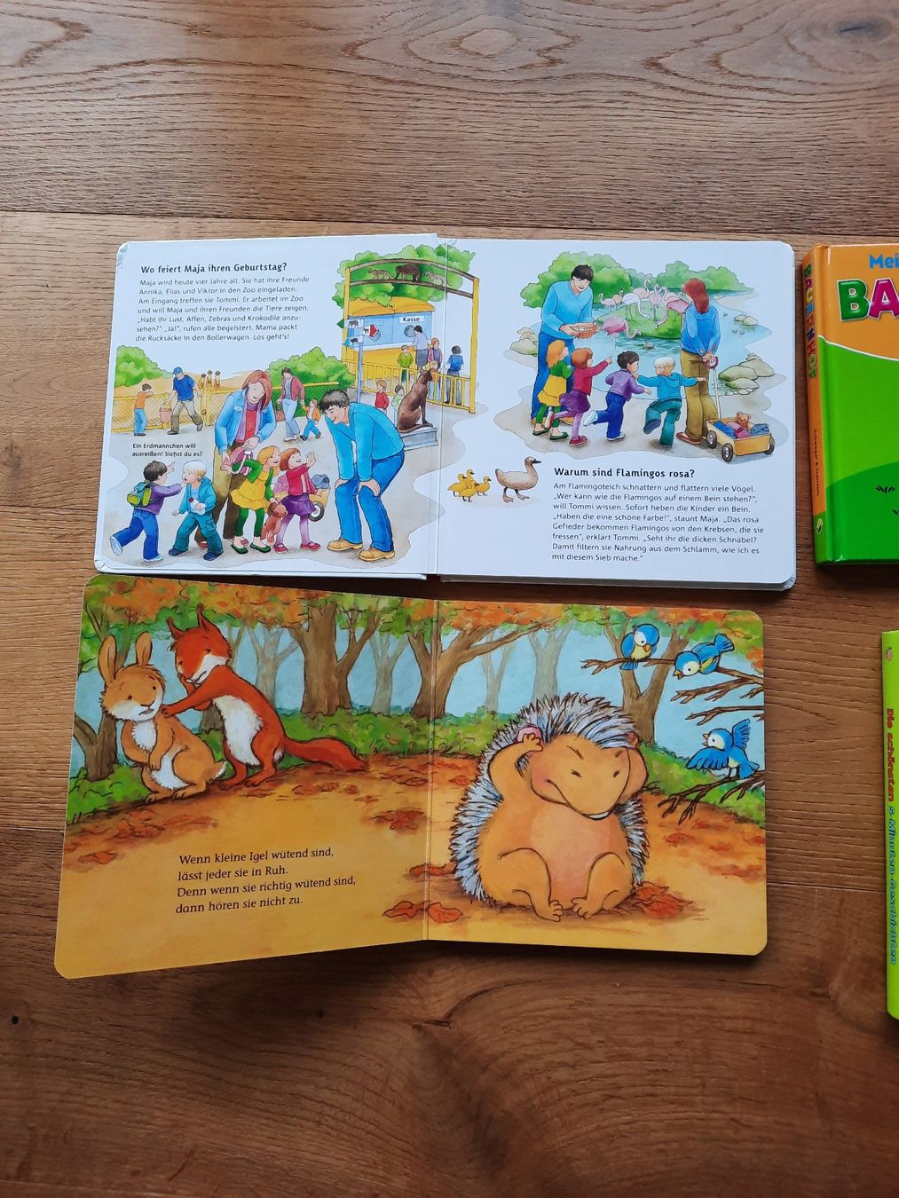 Libri: Kinderbücher Set - 4 Stück – Usato da Altnau venduto da willpower71 1