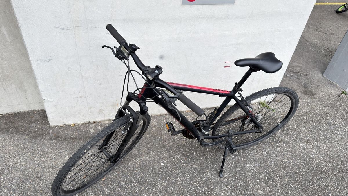Biciclette: Mountainbike Velo – Usato da schlieren venduto da elezkurtaj