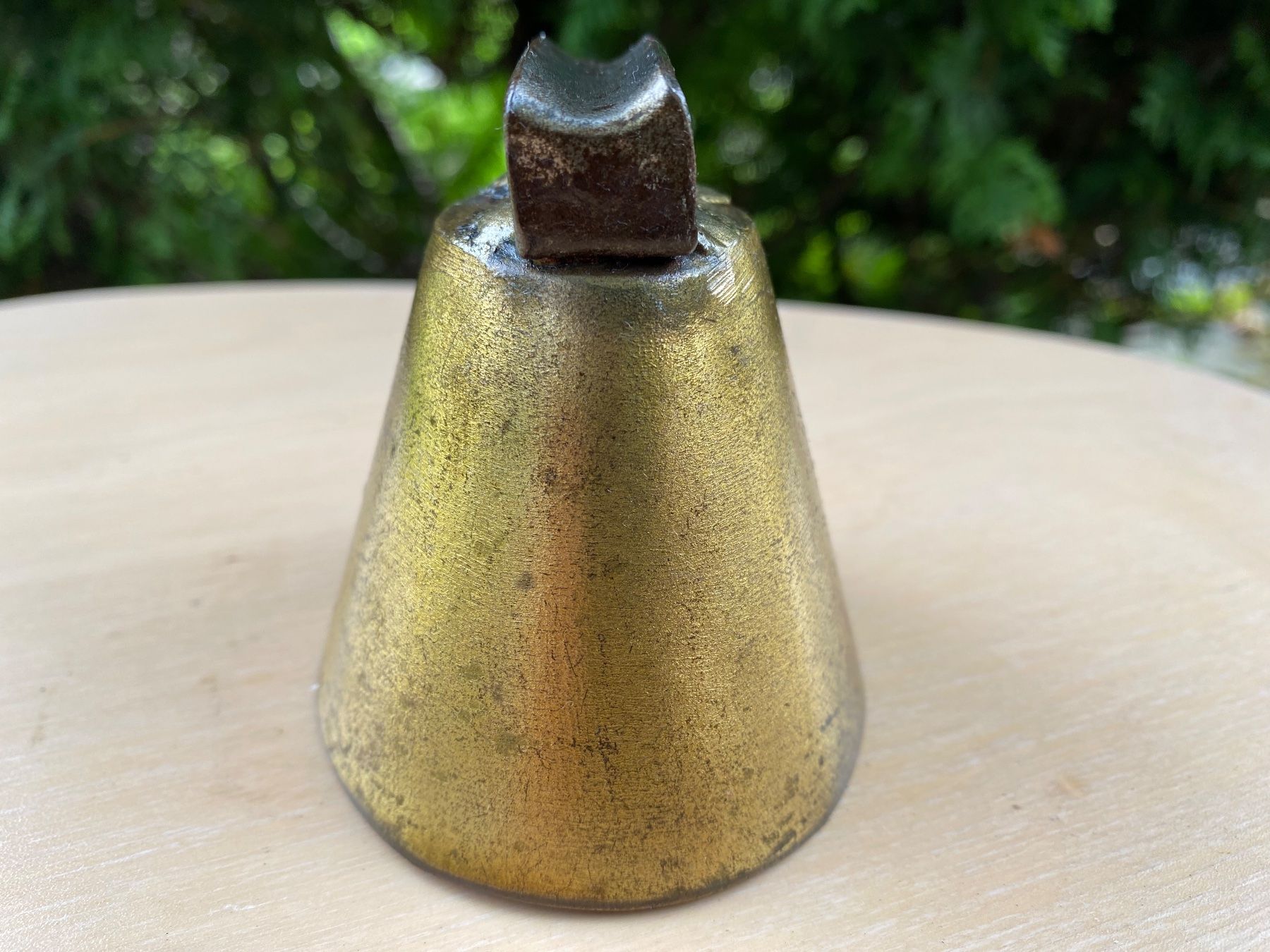 Campanacci mucche: schöne alte kleine Pferdeglocke – Usato da Feldbach venduto da Fea1 3