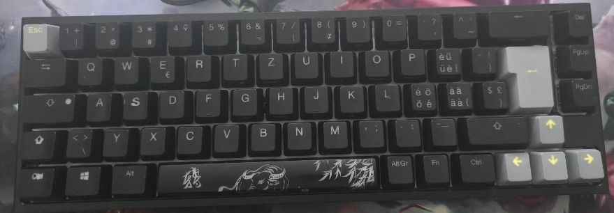Ducky Tastiere: Mechanical Keyboard QWERTZ Layout Used Condition – Usato da Petit-lancy venduto da A.DEV