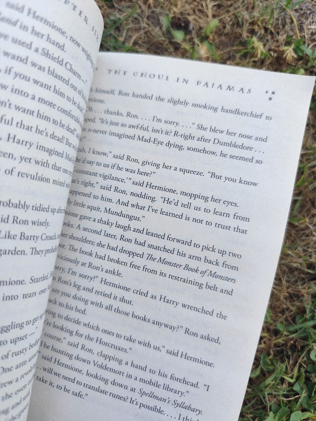 Libri: Harry Potter and the Deathly Hallows Book – Usato da Mägenwil venduto da VintageGirly 4