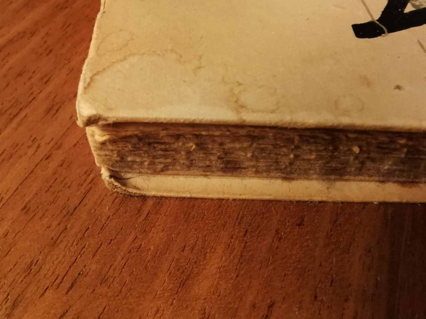 Libri: Christian Morgenstern, Galgenlieder – Usato da Berneck venduto da Hansi_Muenz 5