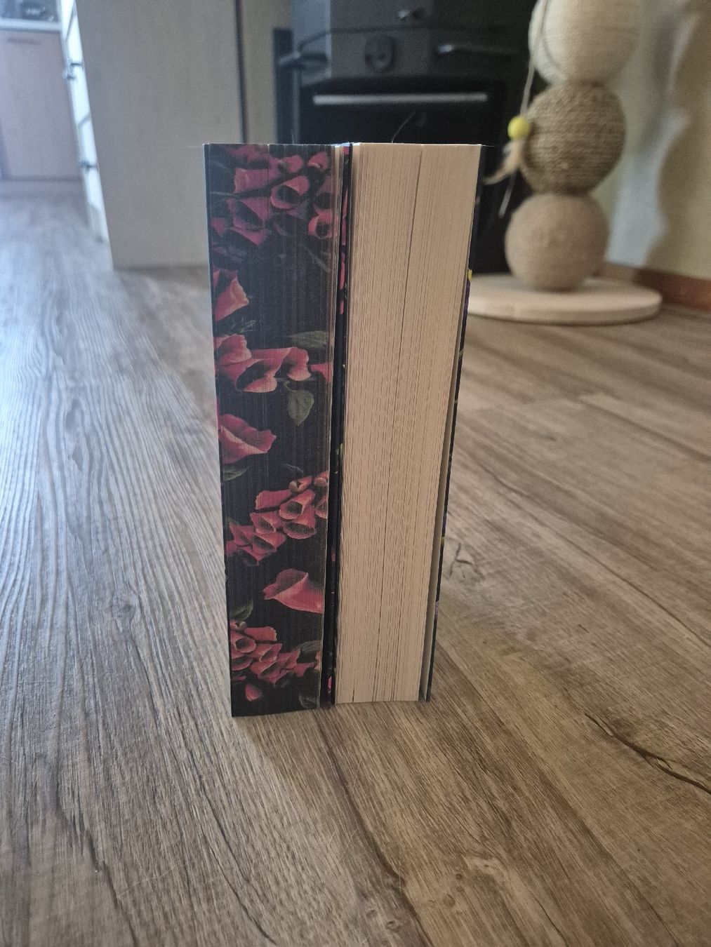Libri: Belladonna und Foxglove von Adalyn Grace – Nuovo (secondo la descrizione) da Lieli venduto da lun_2vh2 2