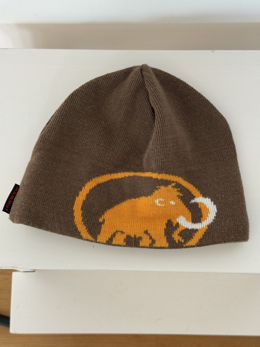 Mammut Copricapi, berretti & cappellini: Mammut beanie – Usato da Zürich venduto da ljjud