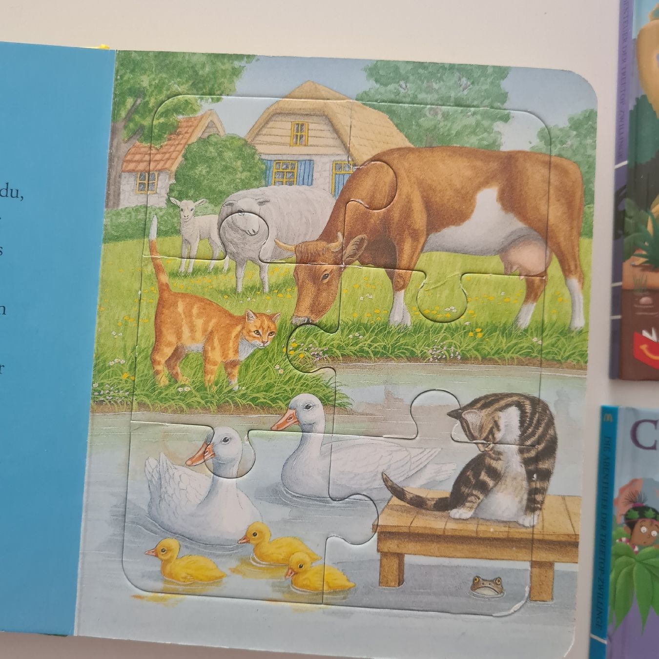 Livres: Verschiedene Kinder Bücher – D'occasion à Steinen par turbogeiss99 5