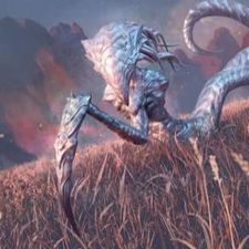 Profile image of Deckraum