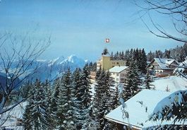 RIGI-KALTBAD Hotel Bellevue
