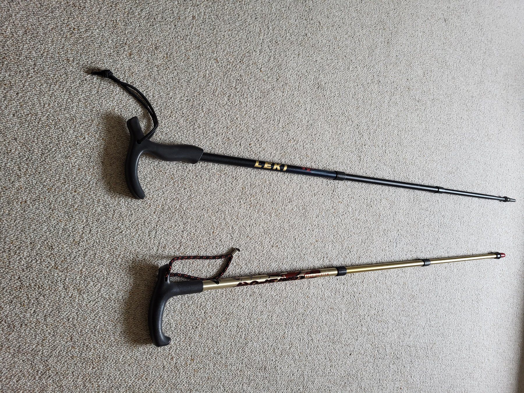 Kletterausrüstungen: 2x Wanderstöcke (hiking sticks) – Gebraucht aus Wettingen von  5