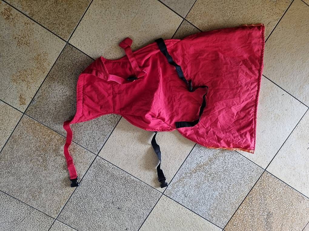 Seggioloni: Sack'n Seat in rot – Usato da Rombach venduto da MonaLisaNZ 3