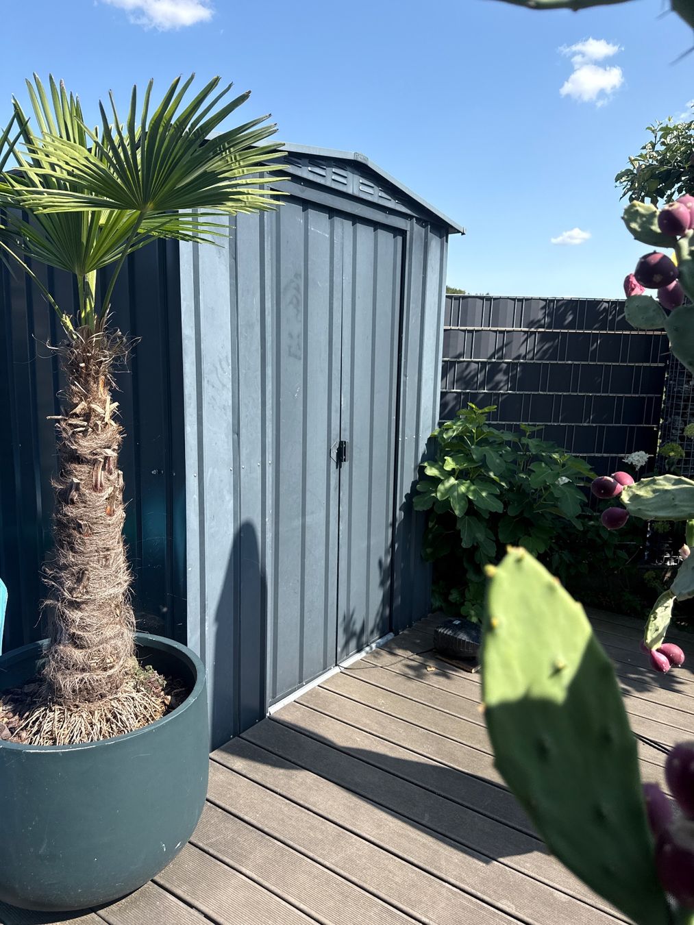 Casette da giardino & serre: Blechgardenhaus – Usato da Bolken venduto da ManZau
