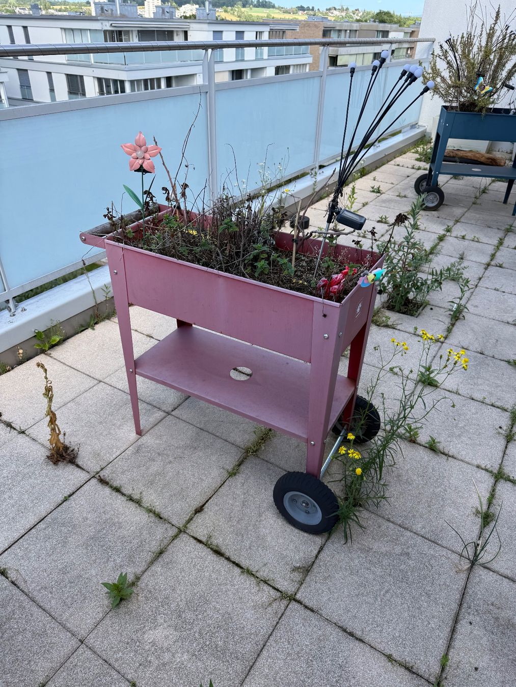 Blumentöpfe: Töpfe – Gebraucht aus Glattpark(Opfikon) von dav_prl7 2