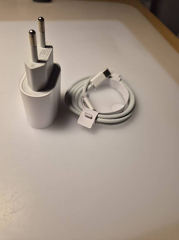 Caricabatterie: Original Apple USB-C und Lightning Ladegerät  – Nuovo e nell'imballaggio originale da Altdorf UR venduto da mal_c6bj 1