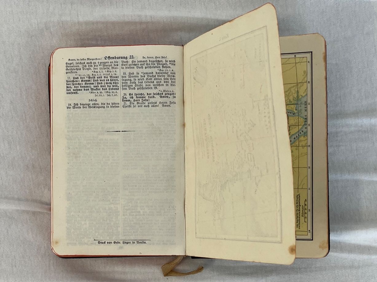Libri: DIE BIBEL ODER HEILIGE SCHRIFT von Viktoria Knecht / 1916 – Usato da Islikon venduto da sav_m8xk 6
