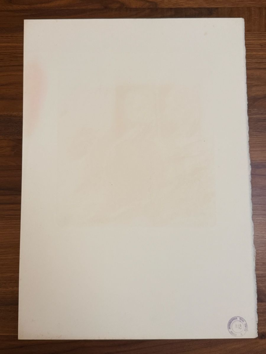 Incisioni: Radierung - 50x35cm – Usato da Solothurn venduto da NUVICO 2