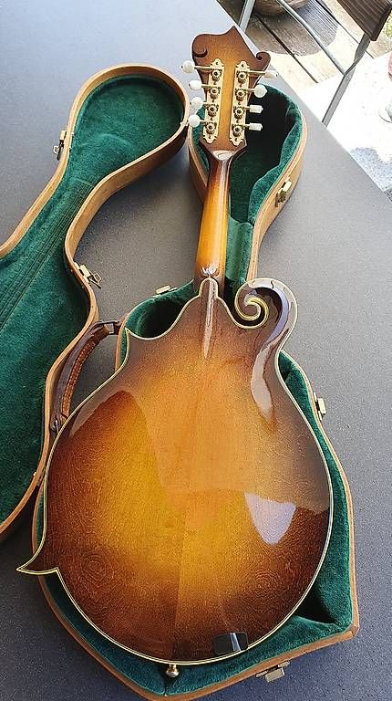 Washburn Strumenti musicali: Mandoline Washburn M-4S Jethro Burns – Usato da Biembach venduto da Musiksalander 1