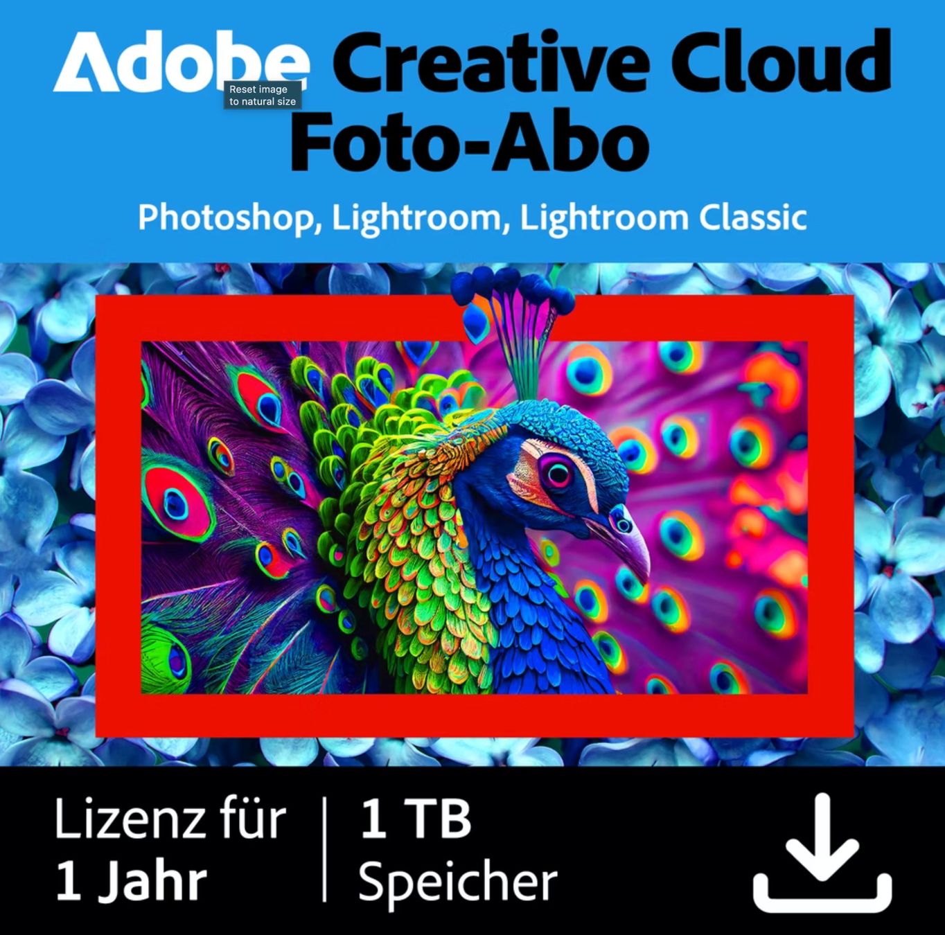 Adobe Software: Lightroom/Photoshop Adobe Creative Cloud Photography Plan – Nuovo e nell'imballaggio originale da Lyss venduto da Dumping