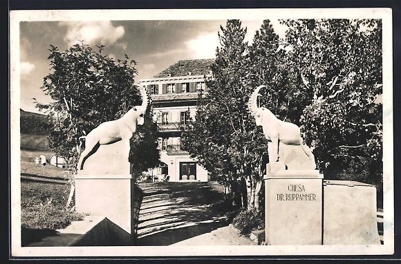 Cartoline postali: AK Samaden, Chesa Dr. Ruppanner, 1945 – Usato da Berlin venduto da bartko-reher