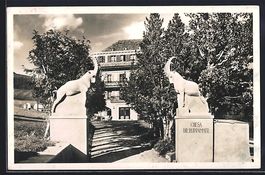 AK Samaden, Chesa Dr. Ruppanner, 1945