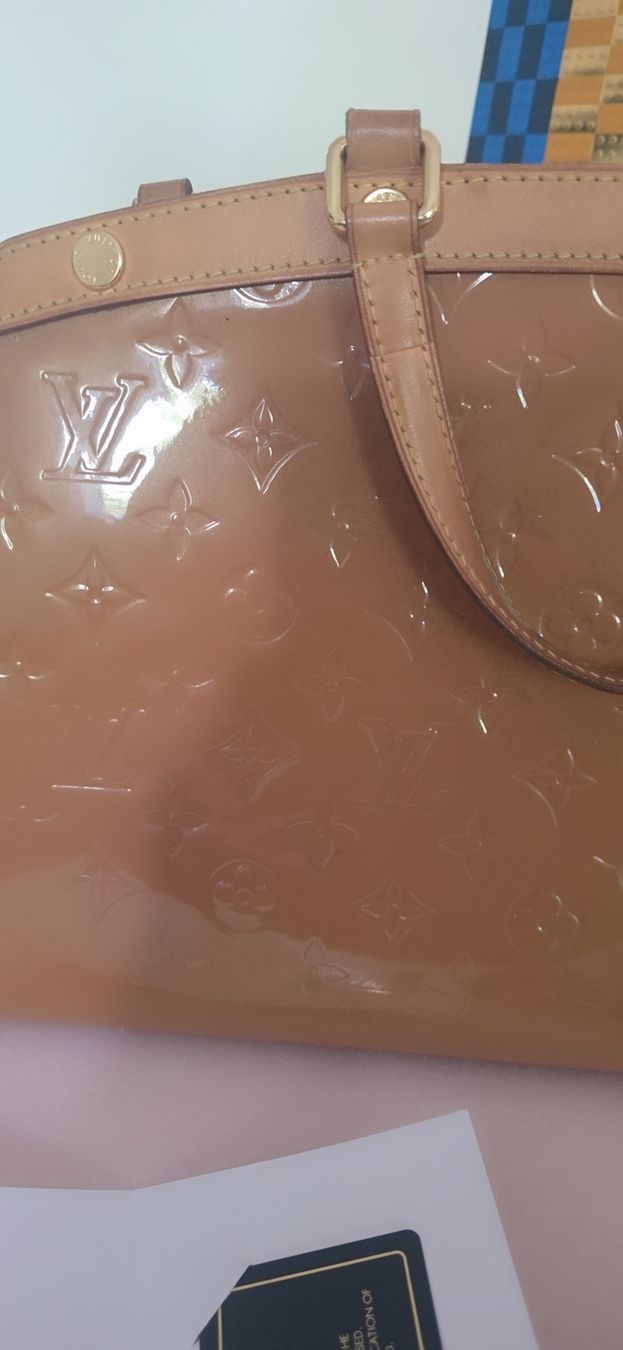 Louis Vuitton Borse da donna: Sac Luis Vuitton  – Nuovo e nell'imballaggio originale da Effretikon venduto da rinuom01 1