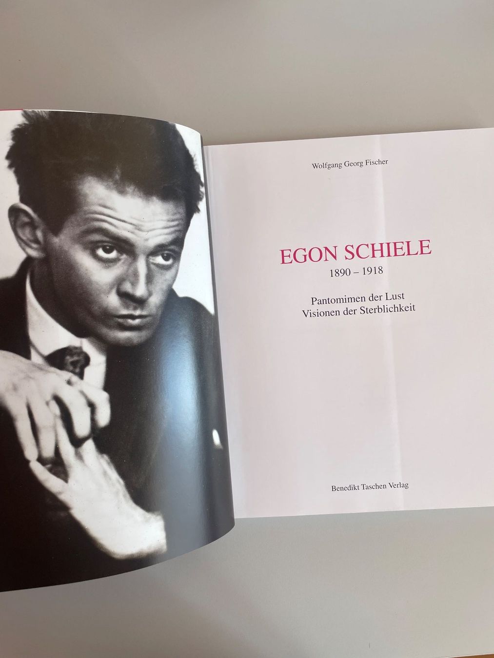 Libri: Egon Schiele, Kunstbuch – Usato da Nesslau venduto da Wolzen 1