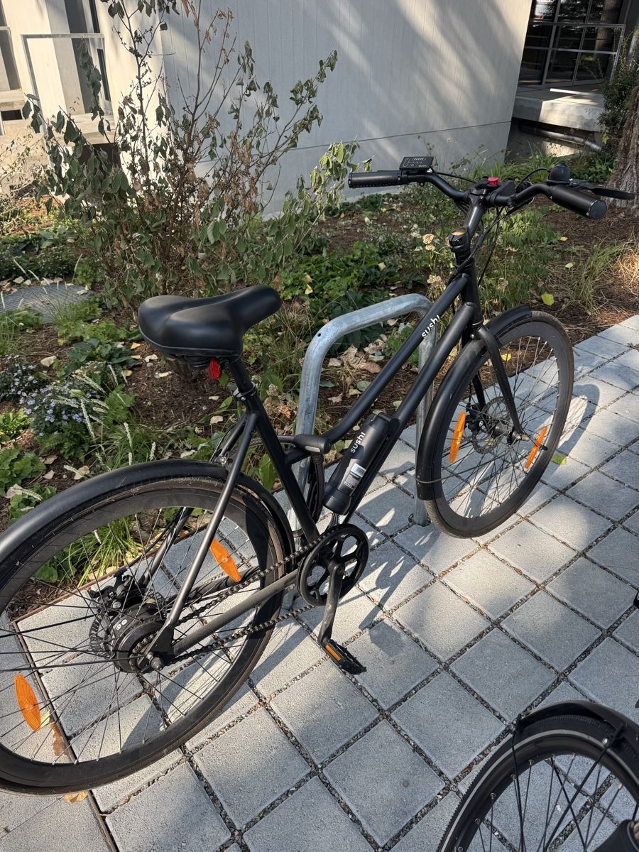 Velos: E Bike Sushi – Gebraucht aus Zürich von aeb_k8xy