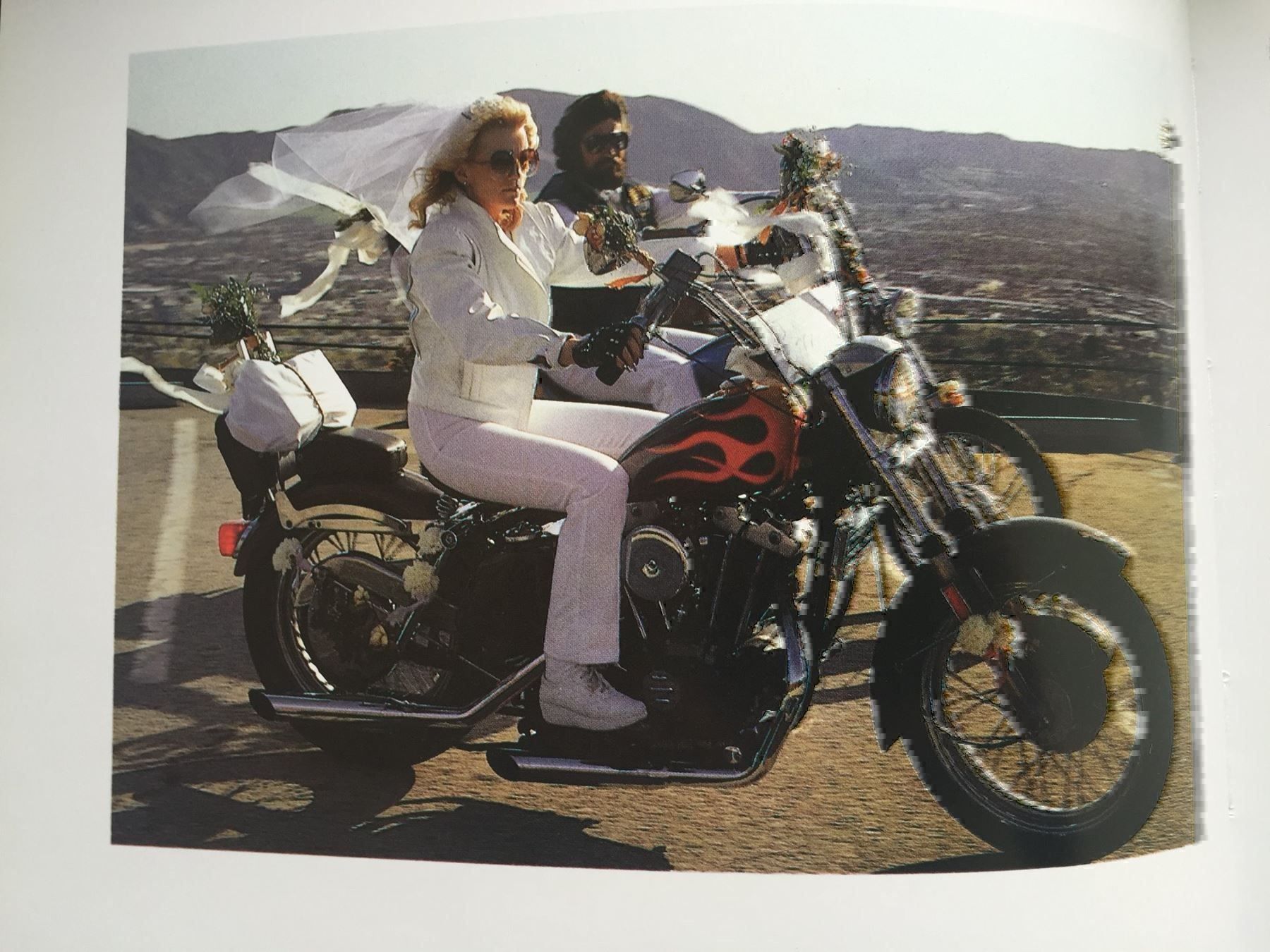 Libri: Harley-Davidson – Usato da Volketswil venduto da zwitsch33 1