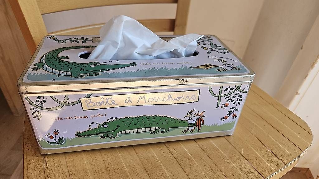 Autres décorations & accessoires: Taschentuch box – D'occasion à Basel par spo_9r87 2