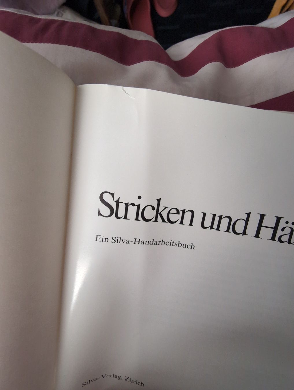 Bücher: Stricken und Häckeln Buch  – Gebraucht aus Bern von berneroberlaenderin 2