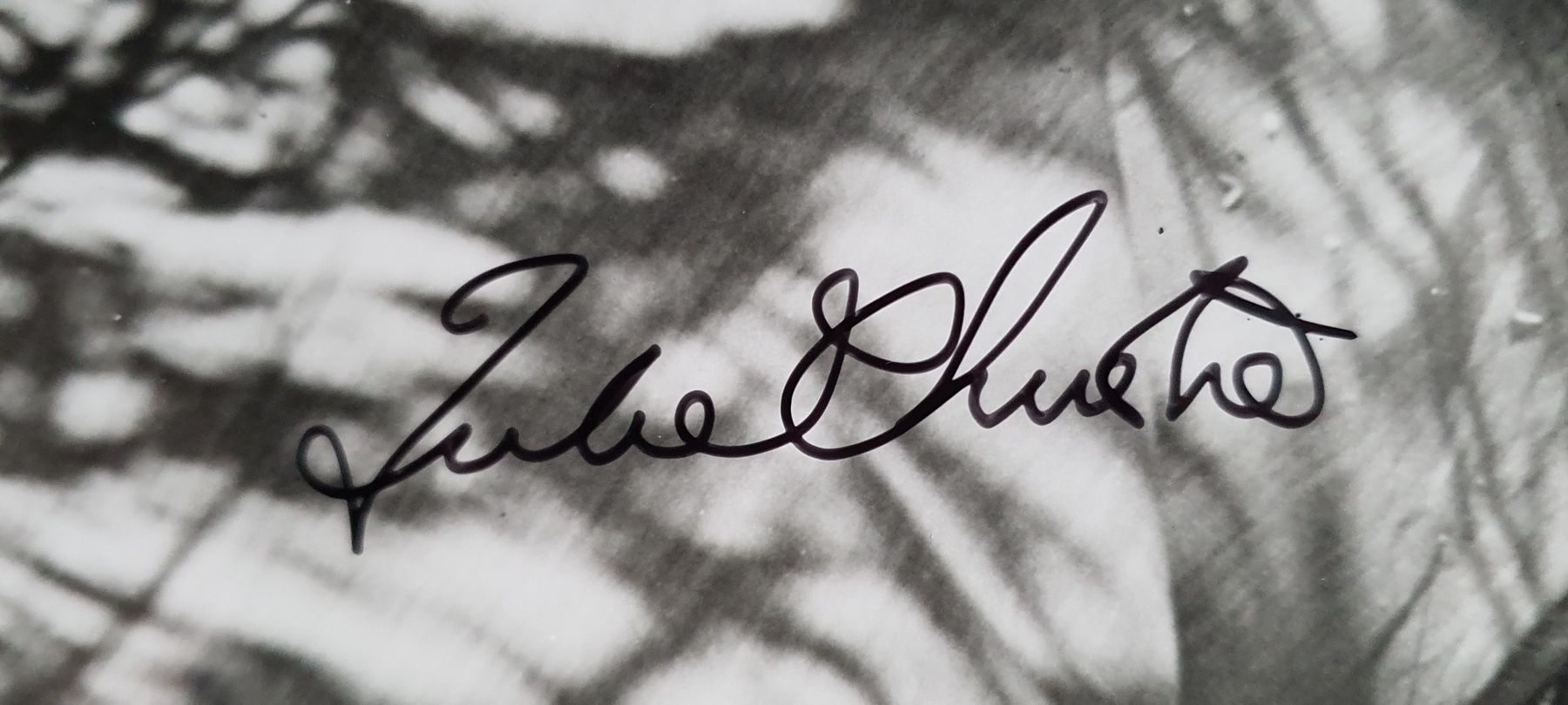 Autografi: Julie Andrews & Omar Sharif Originalautogramme – Nuovo (secondo la descrizione) da Feldbach venduto da gardenmagic 1