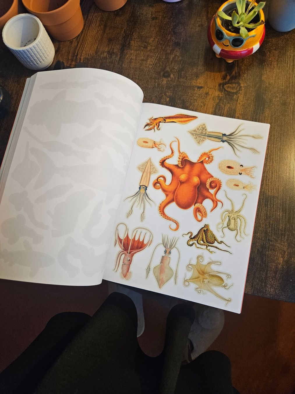 Bücher: Collagen Bastel Buch – Neu (gemäss Beschreibung) aus Luzern von Lucan_Valerius 1