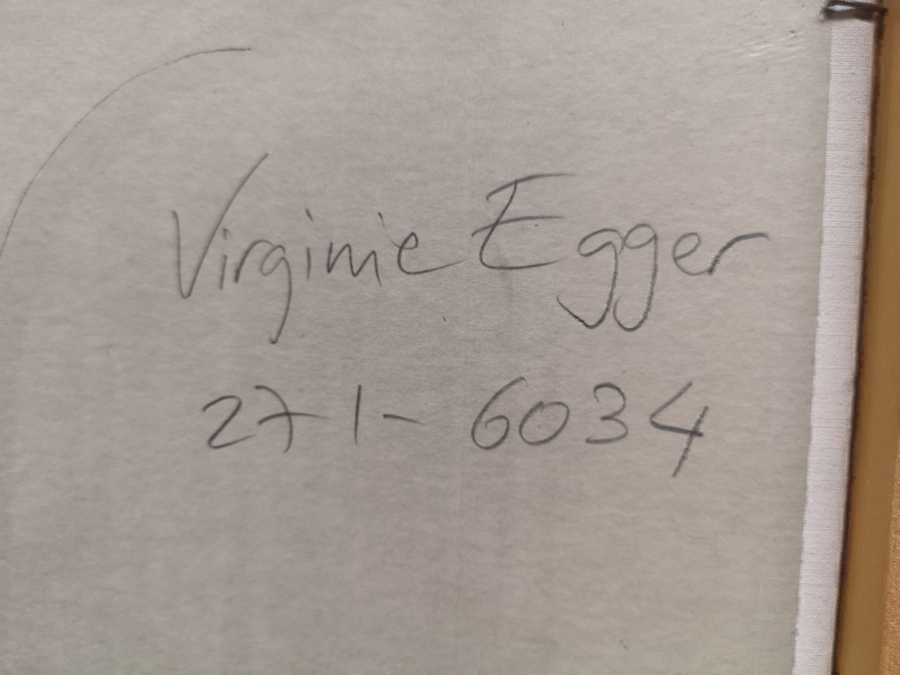 Gemälde: VIRGIL VIRGINIE EGGER(1966)ILLUSTRATRICE – Gebraucht aus Genève von Qanil77 8