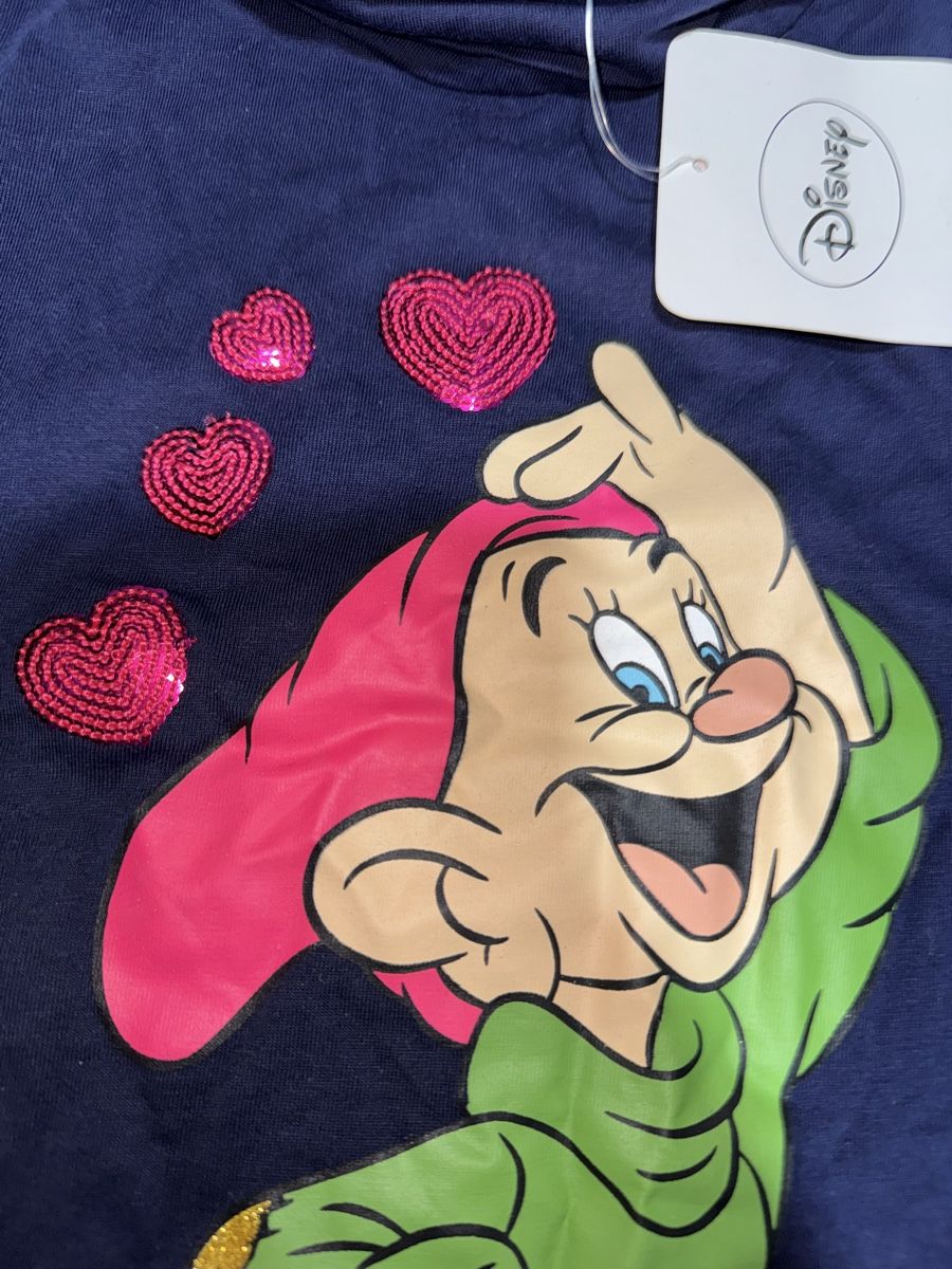 Pullover & Sweatshirts: Disney Zwerg Grumpy Pullover, Gr. 146, Neu mit Etikett – Neu und originalverpackt aus Altdorf UR von lil_z5bm 1