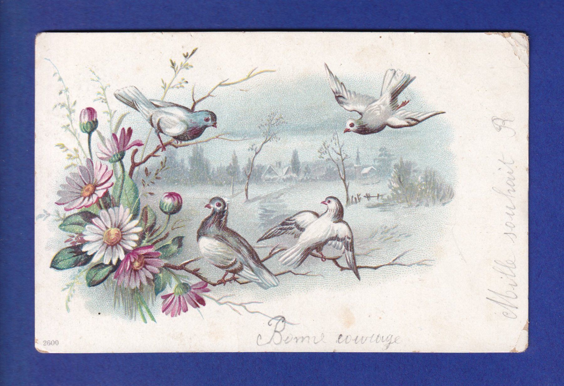 Ansichtskarten: OISEAU - Des Pigeons // pli d'angle // – Gebraucht aus Pully von nicecards-shop