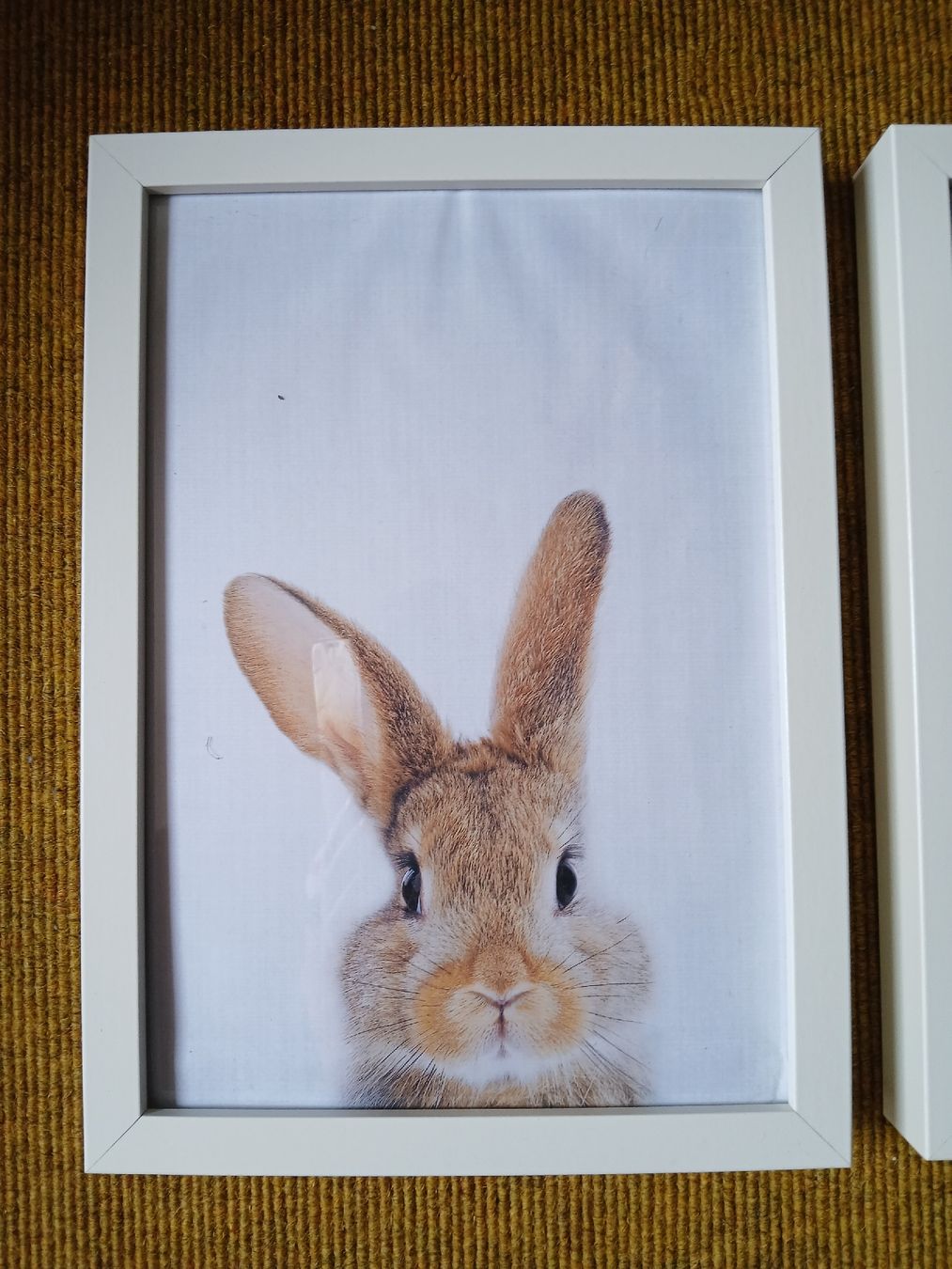 Poster & Bilder: 4 Tierbilder/ Kinderzimmerbilder mit Rahmen – Gebraucht aus Langendorf von bine9 1