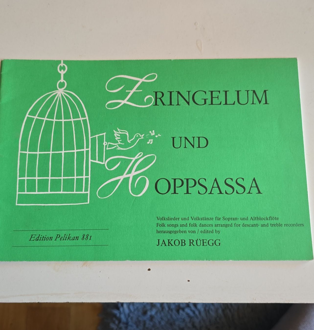 Libri: Notenheft "Fringelium und OppSassa" – Usato da Oberbüren venduto da Elk2025