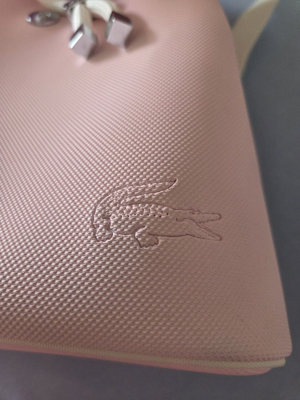 Lacoste Zaini: Lacoste Rucksack – Nuovo (secondo la descrizione) da Rickenbach Sulz venduto da Kodachrom 1
