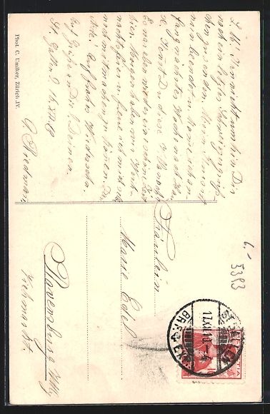 Cartoline postali: AK St. Gallen, Ansicht vom Friedheim – Usato da Berlin venduto da bartko-reher 1