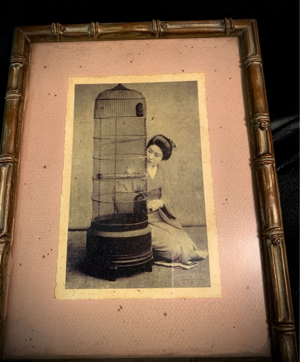 Foto & Immagini: Bamboo style frame- Geisha with birdcage – Usato da Steinmaur venduto da Flashy01 1