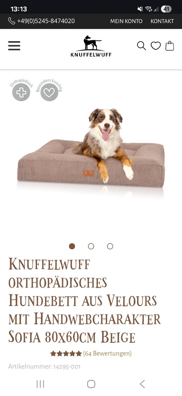 Cucce & Letti: Orthopädisches Hundebett – Nuovo (secondo la descrizione) da Aesch LU venduto da Cashu