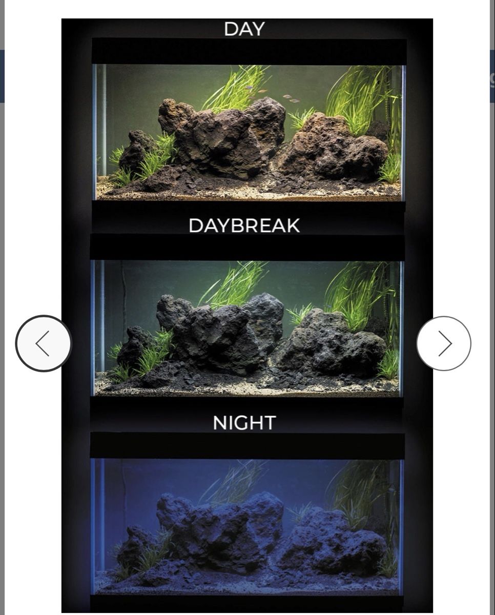 Acquari: Aquarium – Usato da Reinach BL venduto da Fireeagle98 2