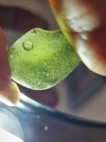 1 Moldavite veritable