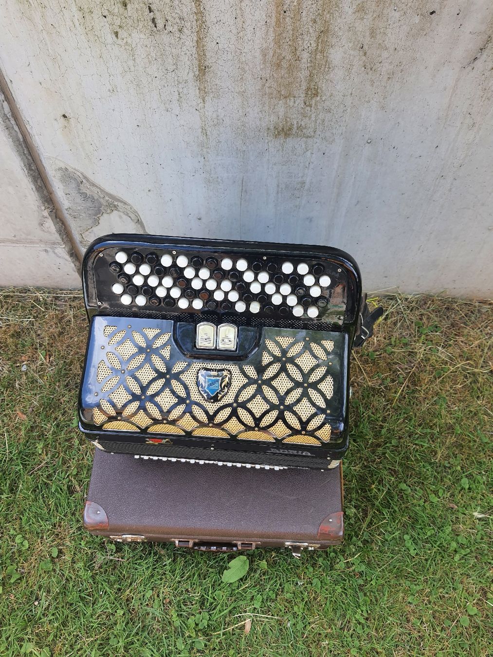 Adria Strumenti musicali: accordéon Adria chromatique  – Usato da Pont-de-la-Morge venduto da Mirabelle0 3