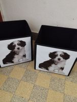 12). 2x kleine Box mit Hundemotiv