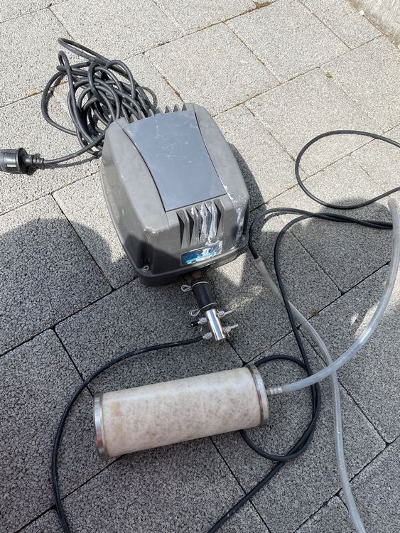 Oase Teich Sauerstoff Fische Koi Kaufen auf Ricardo